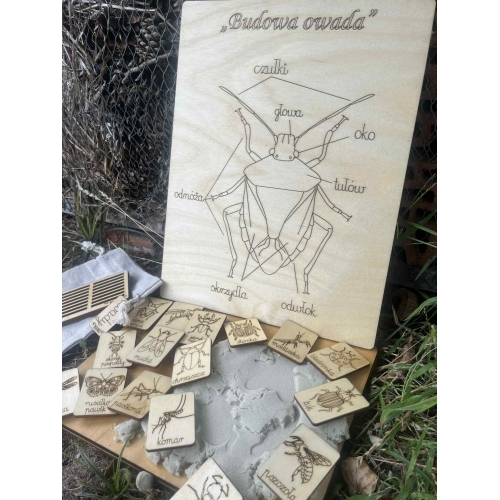 Drewniana układanka 